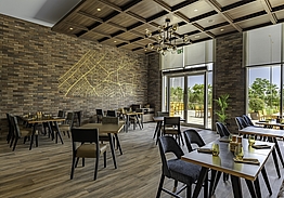 Radisson Hotel Dubai DAMAC Hills