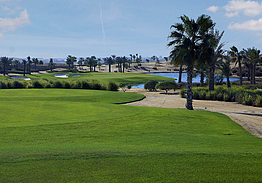 Palm Hills Golf Club