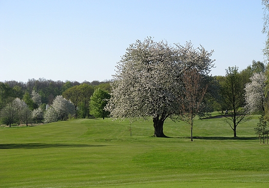 Rungsted Golf Klub