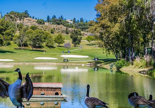 Sol Marbella Estepona Atalaya Park