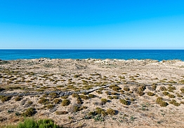 Oliva Nova Beach & Golf Resort