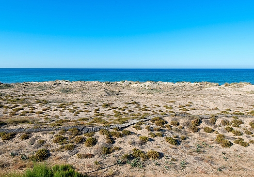 Oliva Nova Beach & Golf Resort