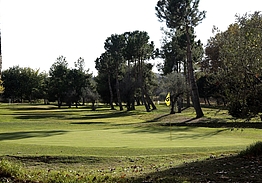 Golf Negralejo | Golf i Madrid