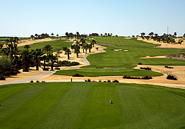 Palm Hills Golf Club