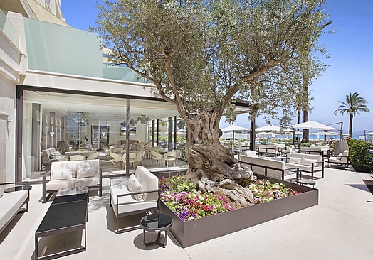 VIVA GOLF Adults Only | Golf på Mallorca