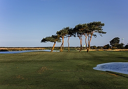 Ljunghusens Golfklubb