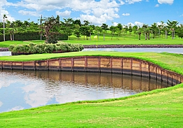 The RG City Golf Club