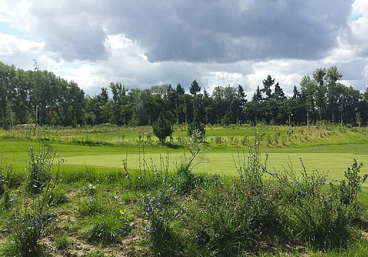 Berliner Golf Club Gatow | Golf i Berlin