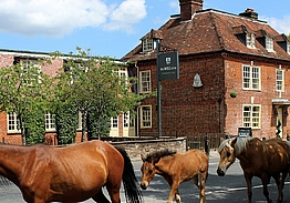 The Bell Inn and Bramshaw Golf Resort