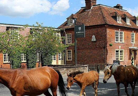 The Bell Inn and Bramshaw Golf Resort
