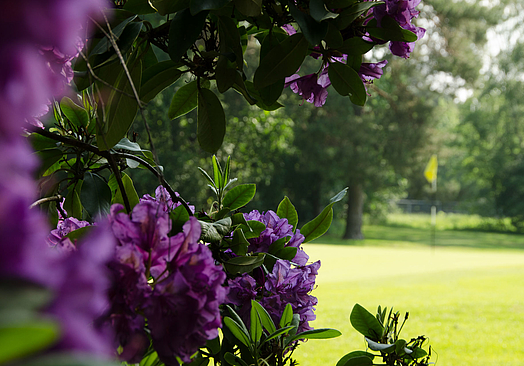 Berliner Golf Club Gatow | Golf i Berlin