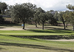 Real Club Golf Las Rozas