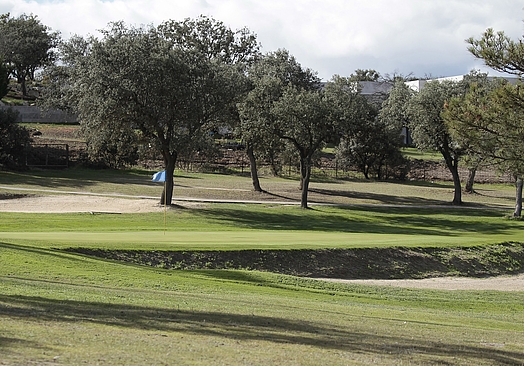 Real Club Golf Las Rozas