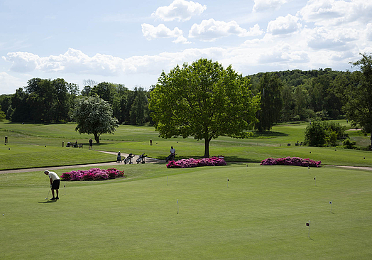 Rungsted Golf Klub