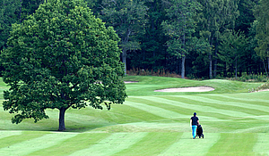 Golfbanor Jönköping