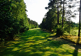 Bad Bevensen Golfclub