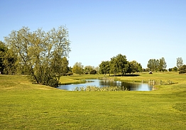 Bedinge Golfklubb