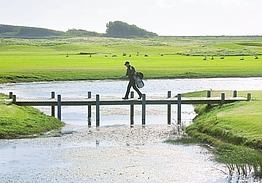 Enjoy Resorts Rømø