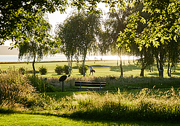 Golfklubben Lillebælt