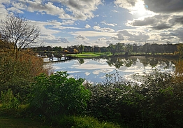 Real Club de Golf Lomas-Bosque | Golf i Madrid