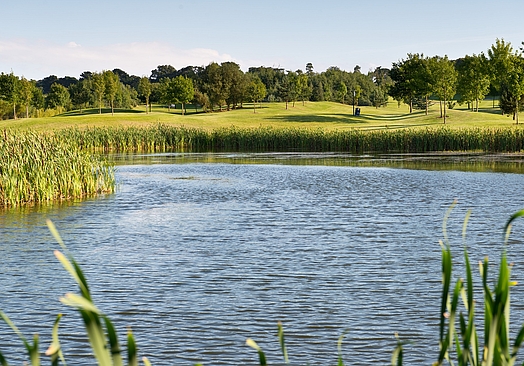 Roganstown Hotel & Country Club | Golf i Dublin