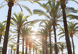 Alanda Marbella Hotel