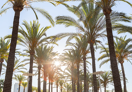 Alanda Marbella Hotel