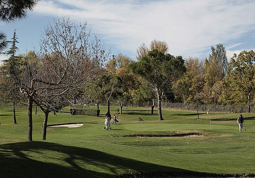 Escuela de Golf de la Federación de Madrid