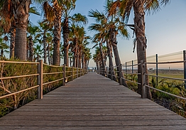 Vidamar Hotel Resort Algarve