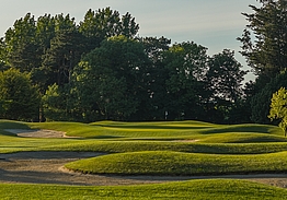 Roganstown Hotel & Country Club | Golf i Dublin