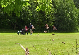 Vejen Golfklub