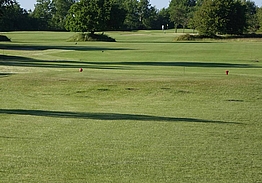 Husumer Bucht Golf Club