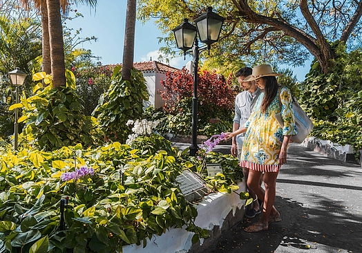 Hotel Jardín Tecina & Tecina Golf