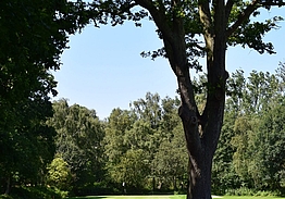 Sct. Knuds Golfklub | Golf på Fyn