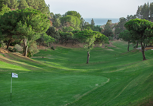 Chaparral Golf Club