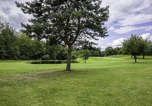 Mariagerfjord Golfklub | Golf & Gourmet