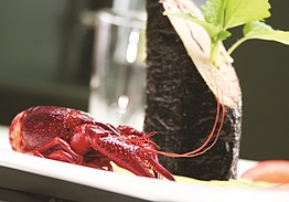 The Cottage | Golf på Lolland-Falster