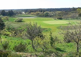 Henne Golfklub