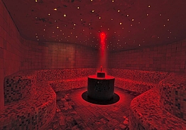 Hotel Petrarca Terme