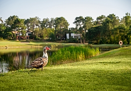 Quinta do Peru Golf & Country