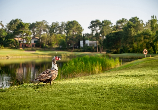 Quinta do Peru Golf & Country