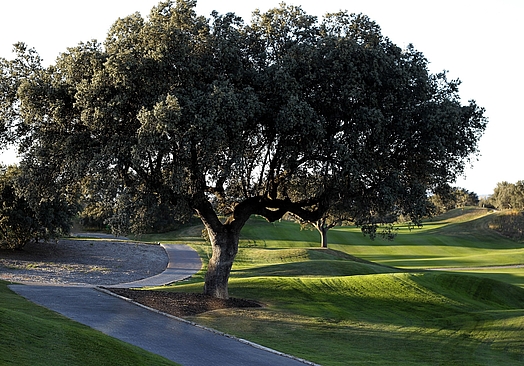 Real Sociedad Hípica Española Club de Campo | Golf i Madrid