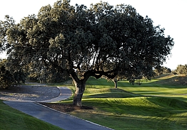 Real Sociedad Hípica Española Club de Campo | Golf i Madrid