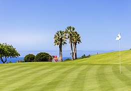 Hotel Jardín Tecina & Tecina Golf