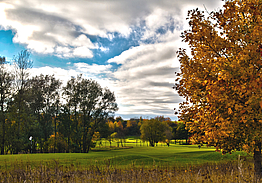 Tomelilla Golf Hotell & Krog