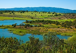 NAU Morgado Golf & Country Club | Álamos Golf Course