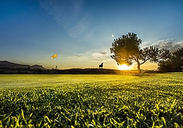 Alenda Golf - Costa Blanca