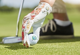 Husumer Bucht Golf Club