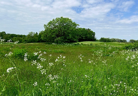 Hotel Faaborg Fjord Spa & Konference