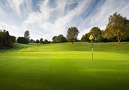 Dale Hill Golf Resort